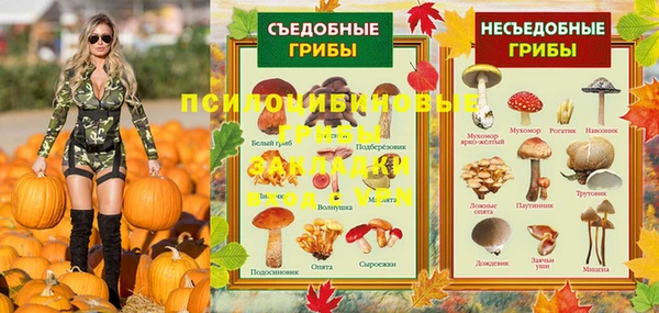 шишки Алексин