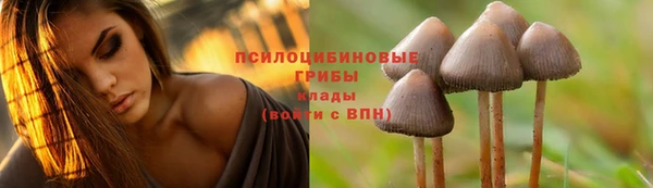 хмурый Алзамай