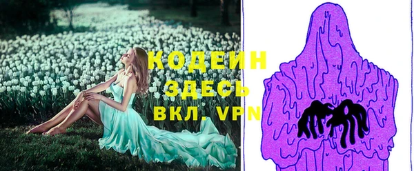 хмурый Алзамай