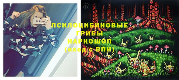шишки Алексин