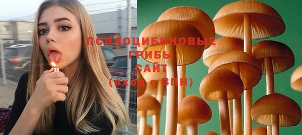 шишки Алексин